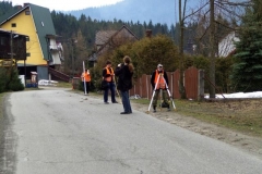 7955