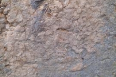 aagzfm17
