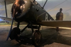 aagzsa19