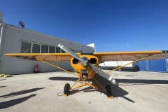 aagzft16