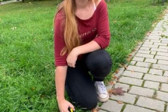 aaed23