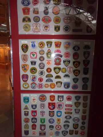 pl6
