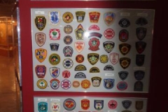 pl6