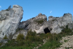 ahc28