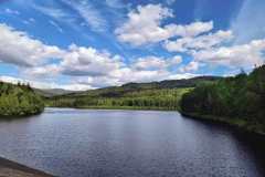 aagzor1